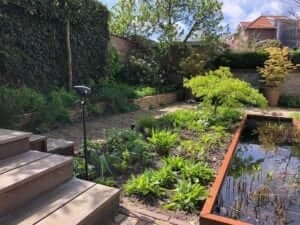 vijver beplanting tuinman Amsterdam