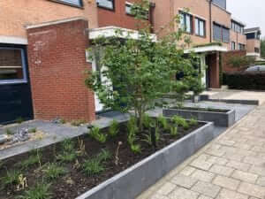 bloembak beton tuinaanleg