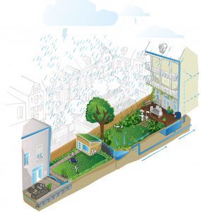 hovenier Amsterdam Rainproof tuinaanleg